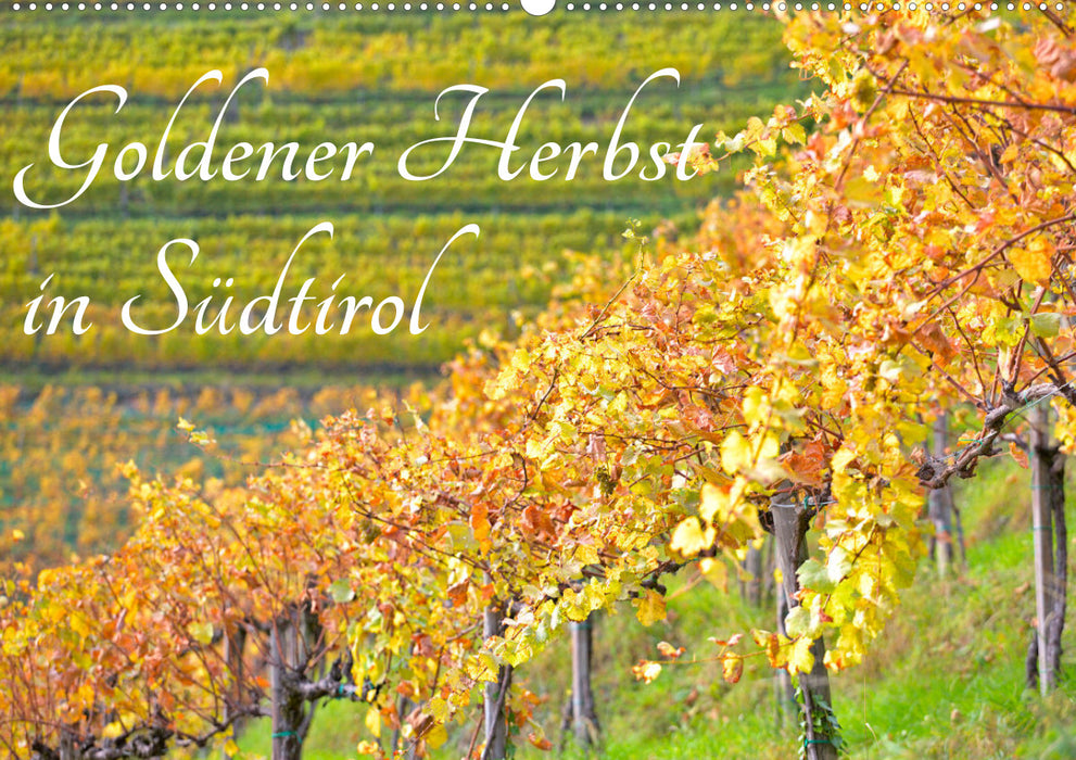 Golden autumn in South Tyrol (CALVENDO wall calendar 2024) 