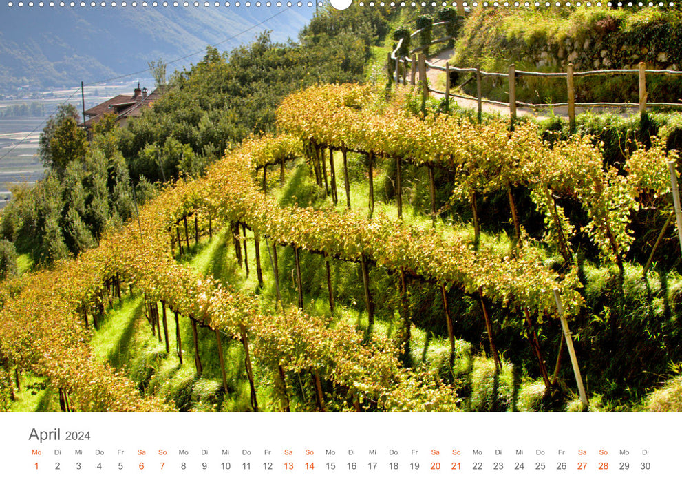 Golden autumn in South Tyrol (CALVENDO wall calendar 2024) 
