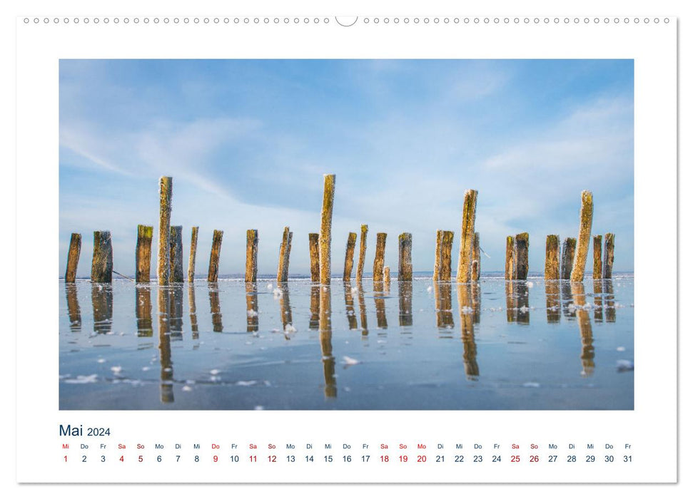 Perle Niedersachsen - Dümmer-See (CALVENDO Wandkalender 2024)