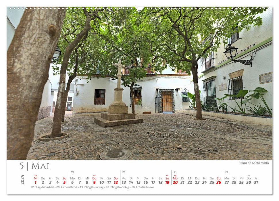 Seville - The Cradle of Flamenco (CALVENDO Premium Wall Calendar 2024) 