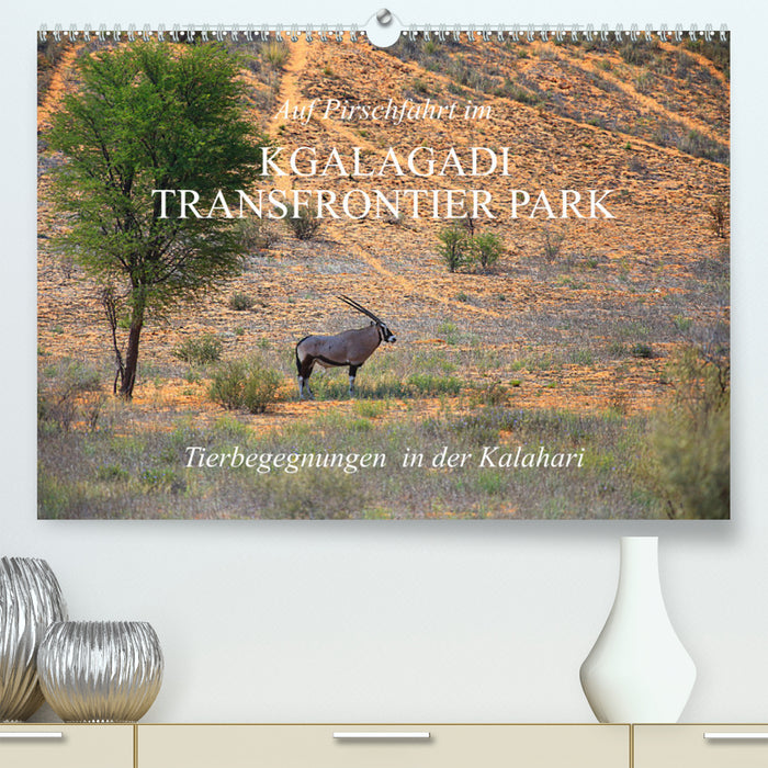 Auf Pirschfahrt im Kgalagadi Transfrontier Park (CALVENDO Premium Wandkalender 2024)