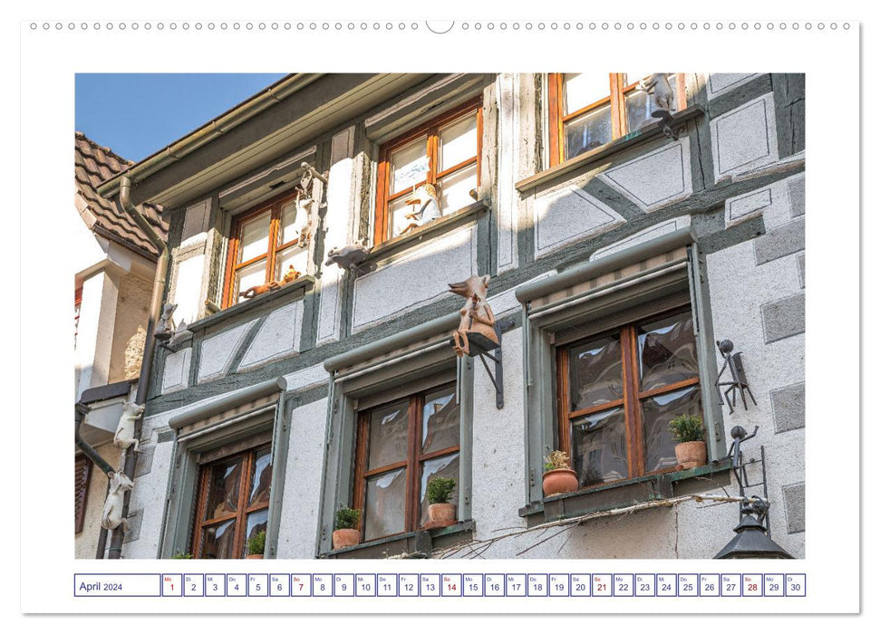 Radolfzell am schönen Bodensee (CALVENDO Wandkalender 2024)