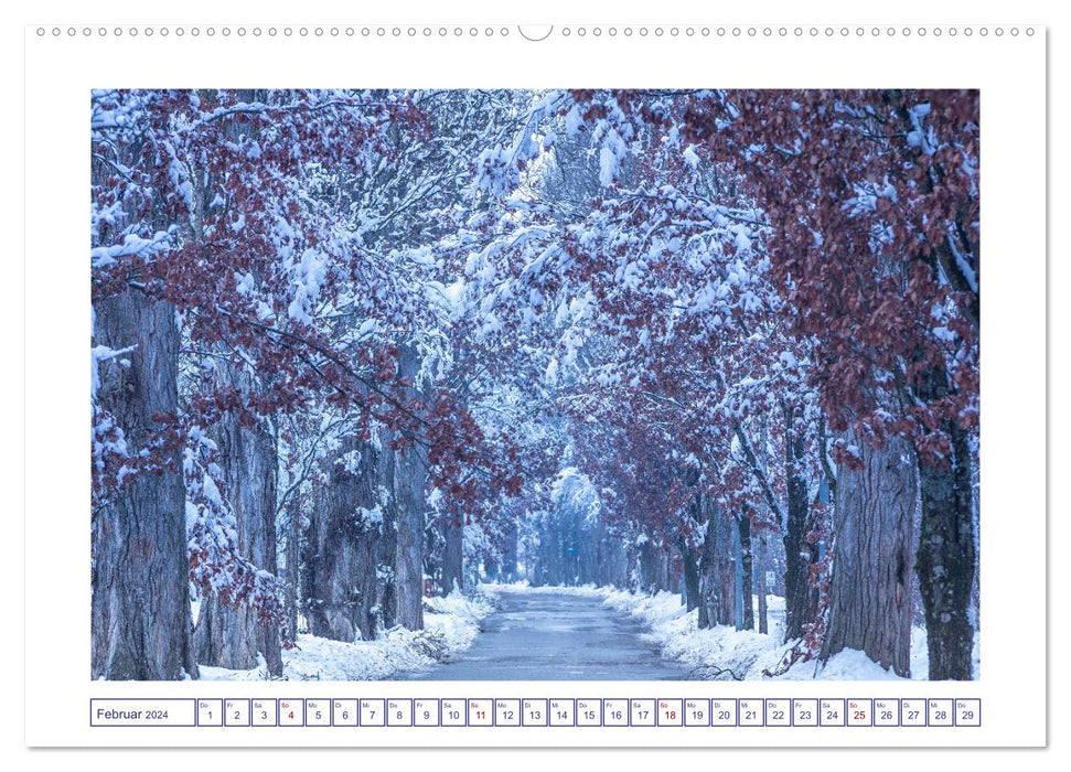 Radolfzell am schönen Bodensee (CALVENDO Premium Wandkalender 2024)