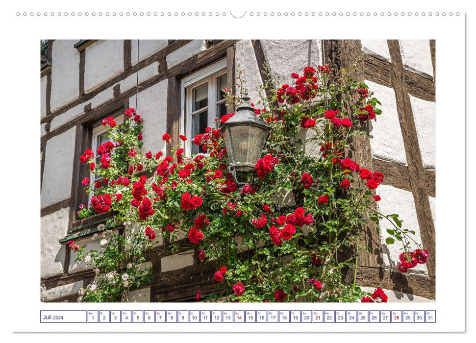Radolfzell on beautiful Lake Constance (CALVENDO Premium Wall Calendar 2024) 