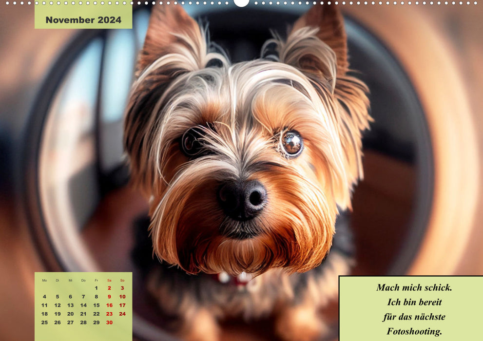 Le calendrier humoristique Yorkshire Terrier (calendrier mural CALVENDO 2024) 