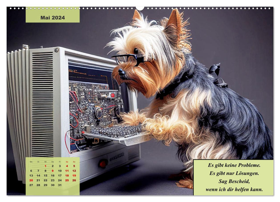 Le calendrier humoristique Yorkshire Terrier (calendrier mural CALVENDO 2024) 