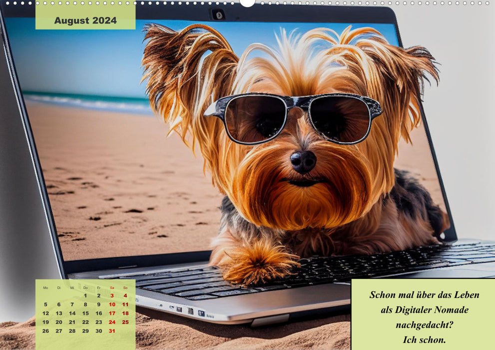 Le calendrier humoristique Yorkshire Terrier (calendrier mural CALVENDO 2024) 