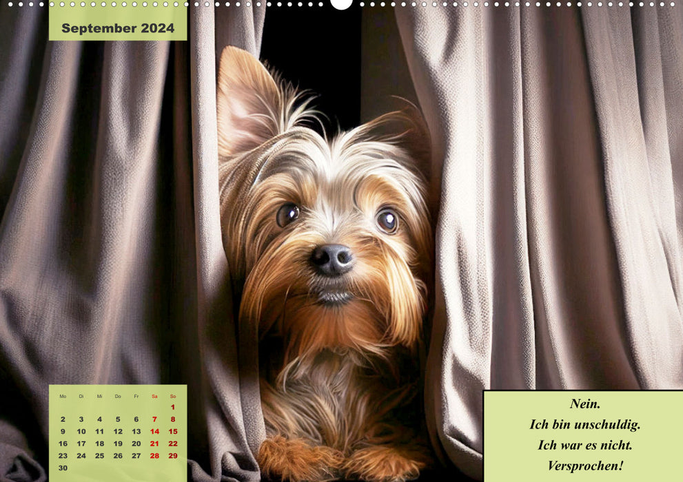 Le calendrier humoristique Yorkshire Terrier (calendrier mural CALVENDO 2024) 