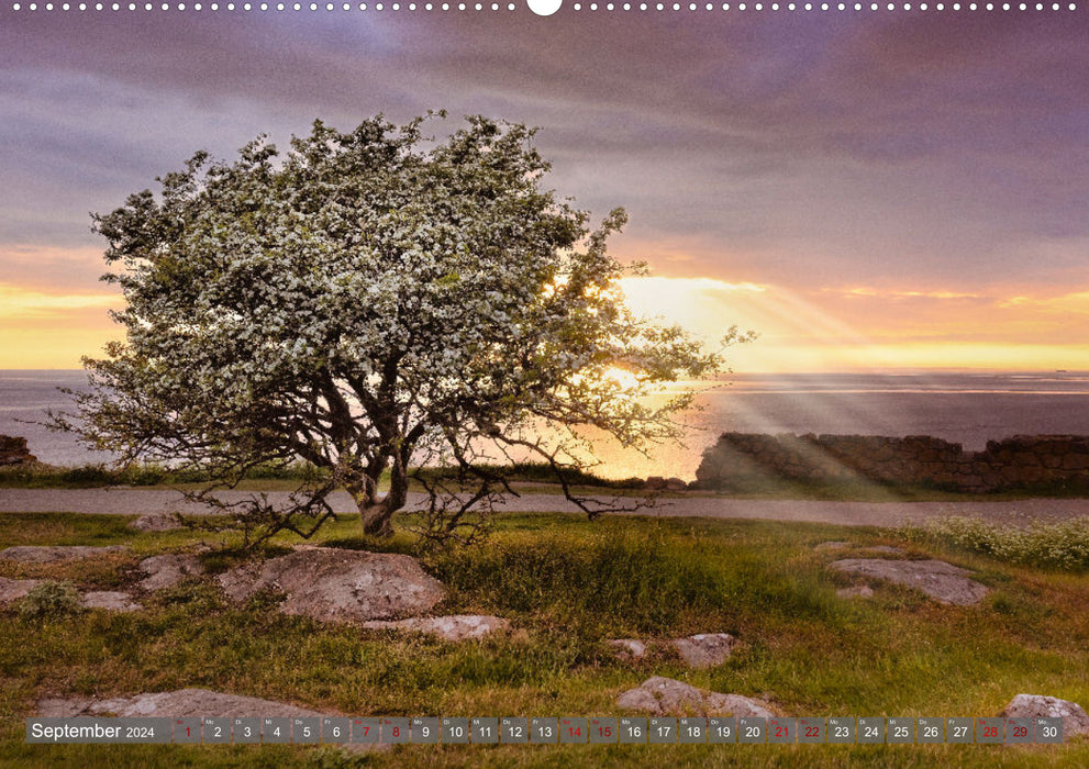Bornholm Juwel der Ostsee (CALVENDO Premium Wandkalender 2024)