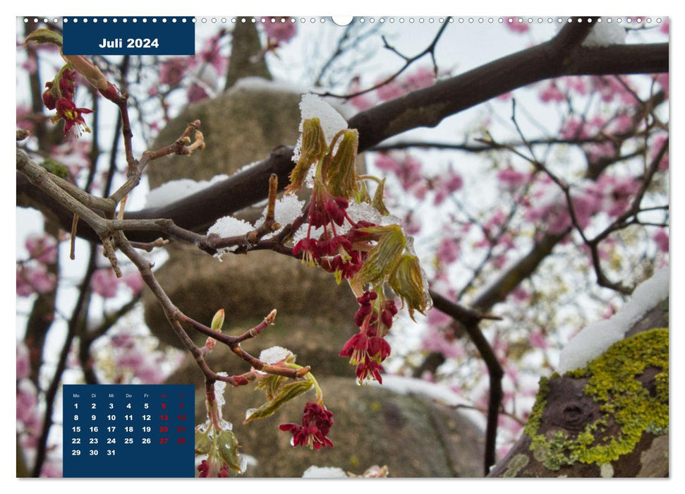 Winter moods in Germany (CALVENDO Premium Wall Calendar 2024) 