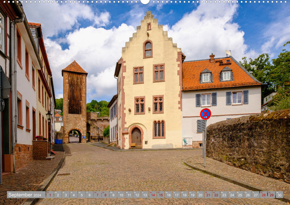 Ein Blick auf Gelnhausen (CALVENDO Premium Wandkalender 2024)