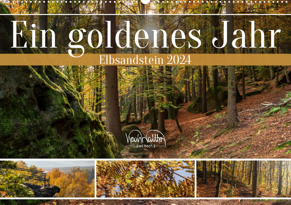 Ein goldenes Jahr - Elbsandstein (CALVENDO Wandkalender 2024)