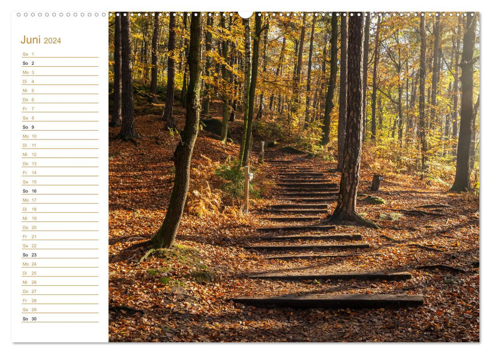 Ein goldenes Jahr - Elbsandstein (CALVENDO Wandkalender 2024)