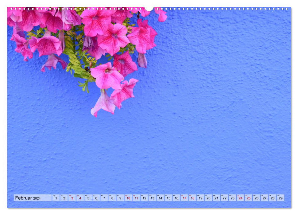 Minimal Burano (CALVENDO Premium Wall Calendar 2024) 