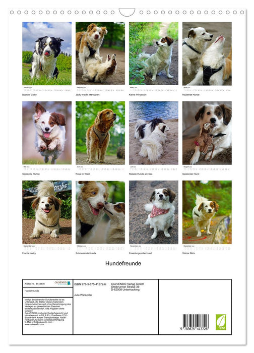 Hundefreunde (CALVENDO Wandkalender 2024)