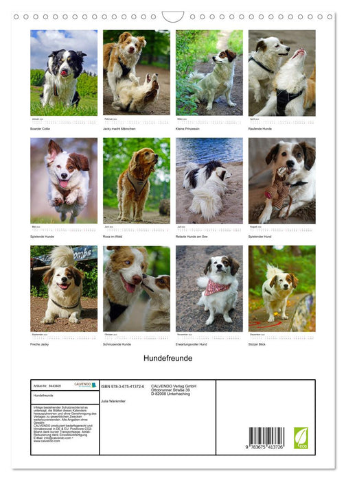 Dog lovers (CALVENDO wall calendar 2024) 