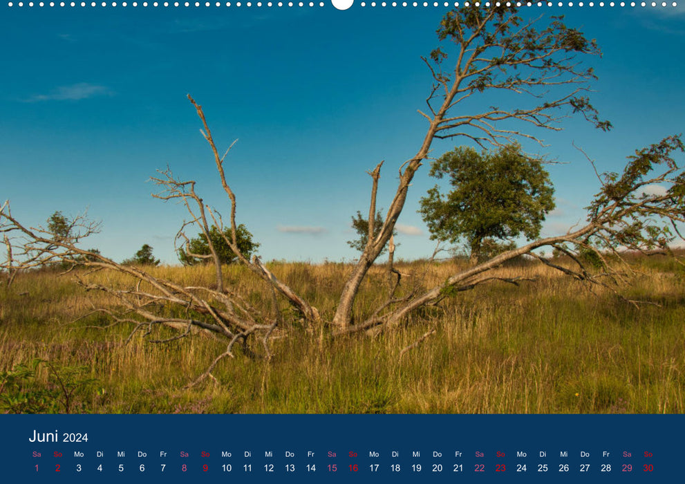 Deutsche Landschaften - eine Reise durch die Jahreszeiten (CALVENDO Wandkalender 2024)