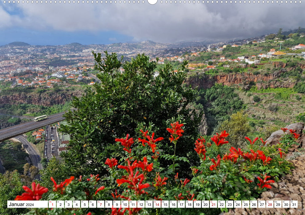 Frühlingstraum Madeira (CALVENDO Premium Wandkalender 2024)