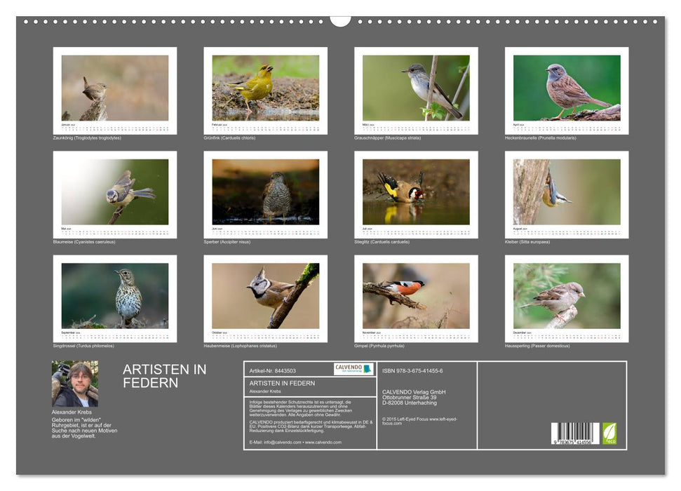 Artisten in Federn - Vögel unserer Gärten (CALVENDO Wandkalender 2024)