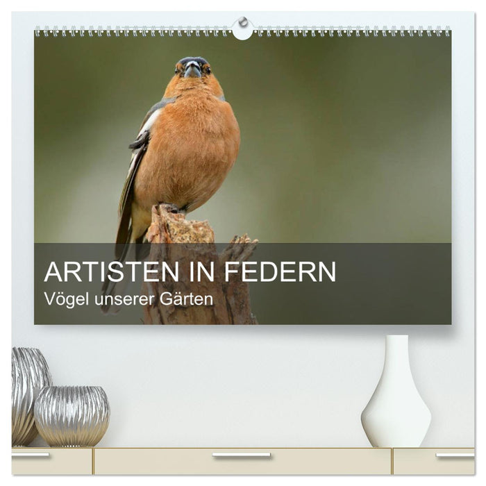 Artists in feathers - birds of our gardens (CALVENDO Premium Wall Calendar 2024) 