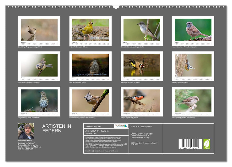 Artists in feathers - birds of our gardens (CALVENDO Premium Wall Calendar 2024) 