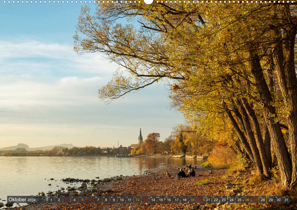 Die Halbinsel Mettnau - Erholungsort im Bodensee (CALVENDO Premium Wandkalender 2024)