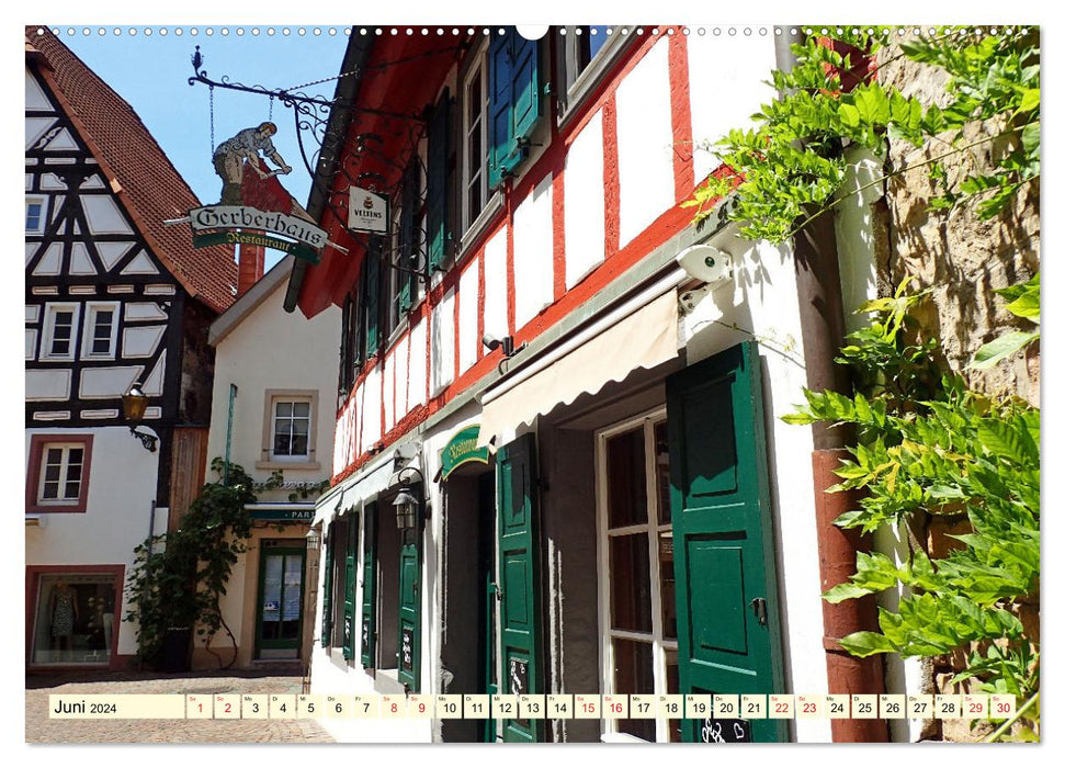 Neustadt an der Weinstaße - half-timbered buildings, wine and cozy streets (CALVENDO Premium Wall Calendar 2024) 