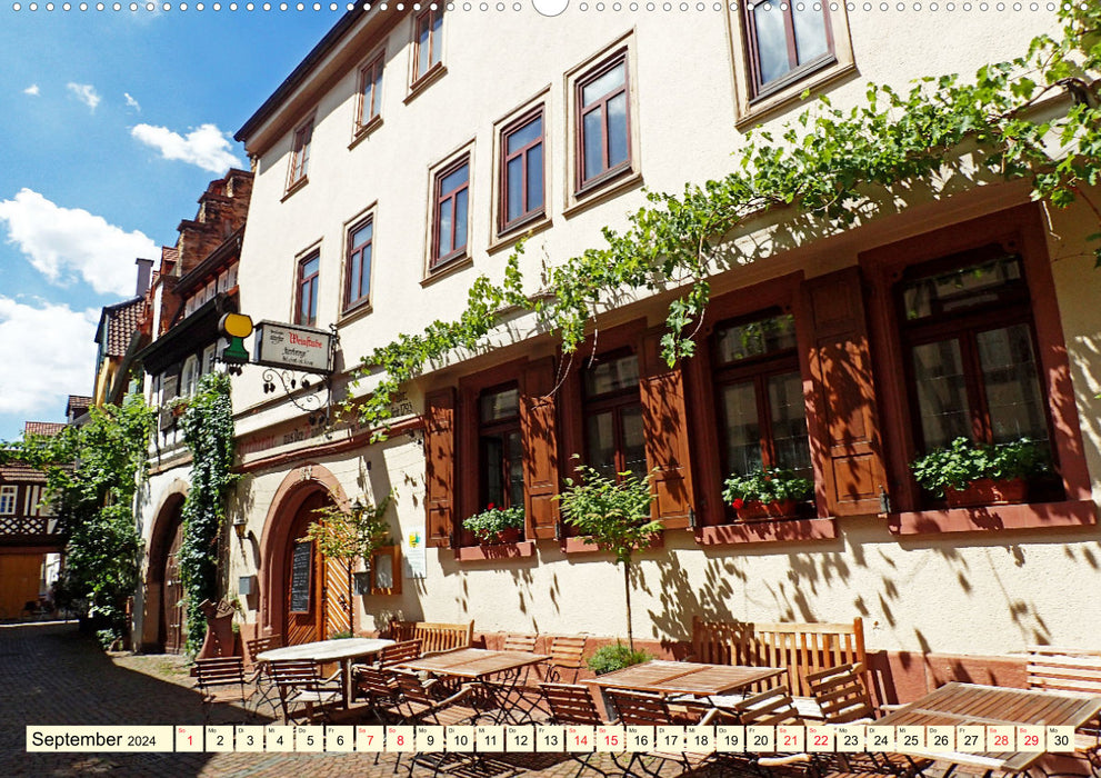 Neustadt an der Weinstaße - bâtiments à colombages, vins et rues agréables (Calendrier mural CALVENDO Premium 2024) 