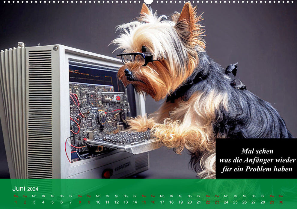 Tierisch lustiger Kalender für alle IT-Experten - oder glauben zu sein (CALVENDO Wandkalender 2024)