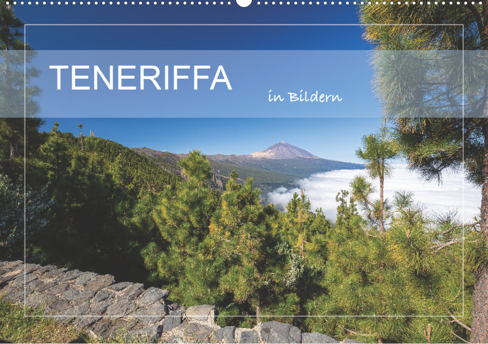 Tenerife en images (Calendrier mural CALVENDO 2024) 