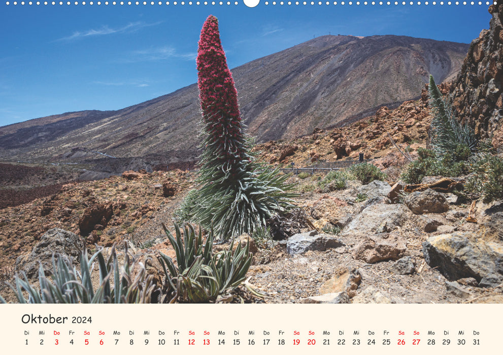 Tenerife en images (Calendrier mural CALVENDO 2024) 