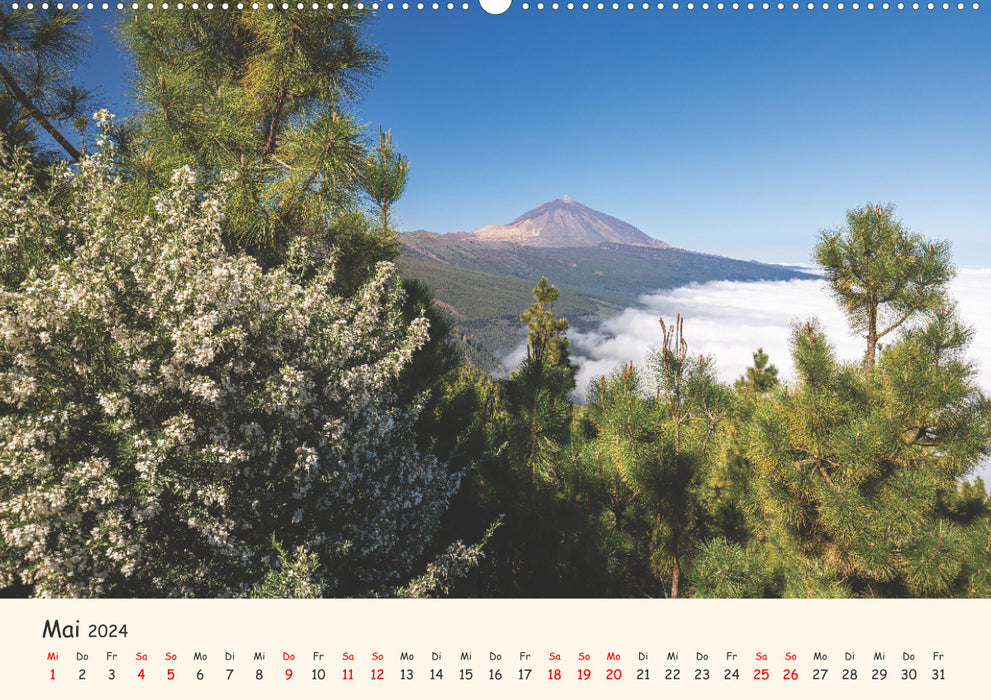 Tenerife en images (Calendrier mural CALVENDO 2024) 