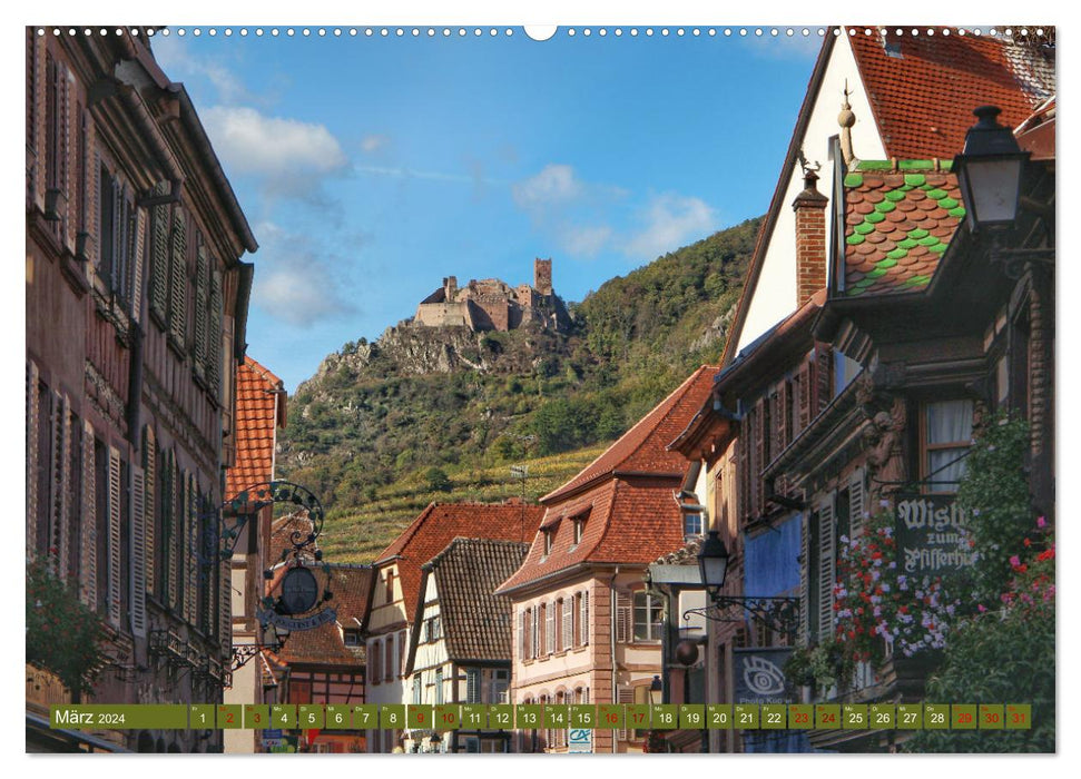 Alsace (Calendrier mural CALVENDO 2024) 