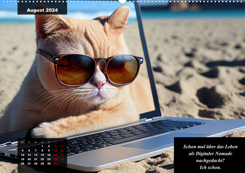 The humorous cat calendar (CALVENDO wall calendar 2024) 