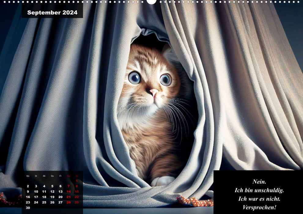 Der humoristische Katzen Kalender (CALVENDO Wandkalender 2024)