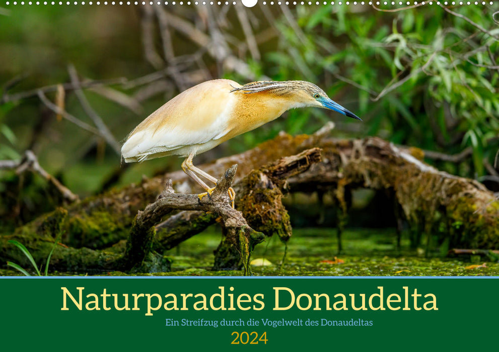 Naturparadies Donaudelta (CALVENDO Wandkalender 2024)