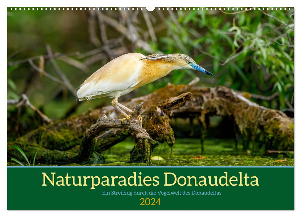 Naturparadies Donaudelta (CALVENDO Wandkalender 2024)