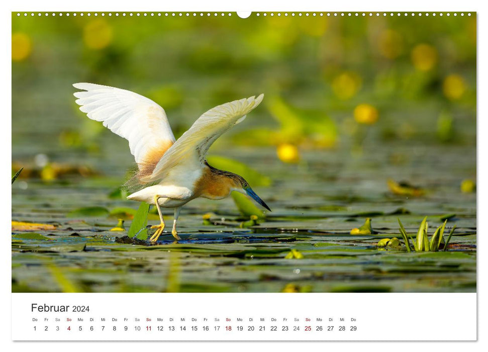 Naturparadies Donaudelta (CALVENDO Wandkalender 2024)