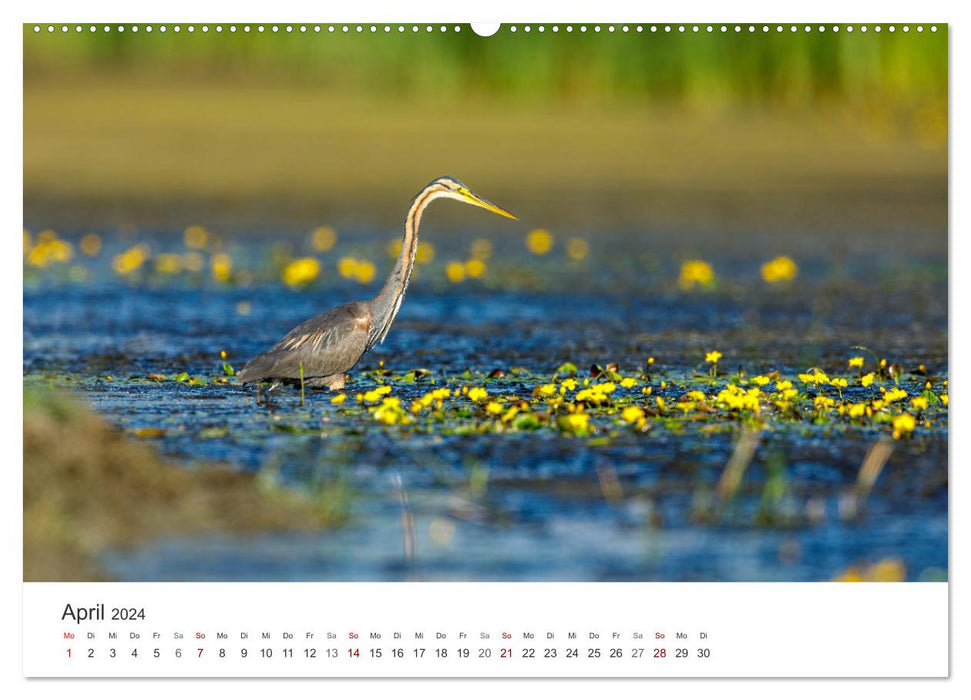 Naturparadies Donaudelta (CALVENDO Wandkalender 2024)