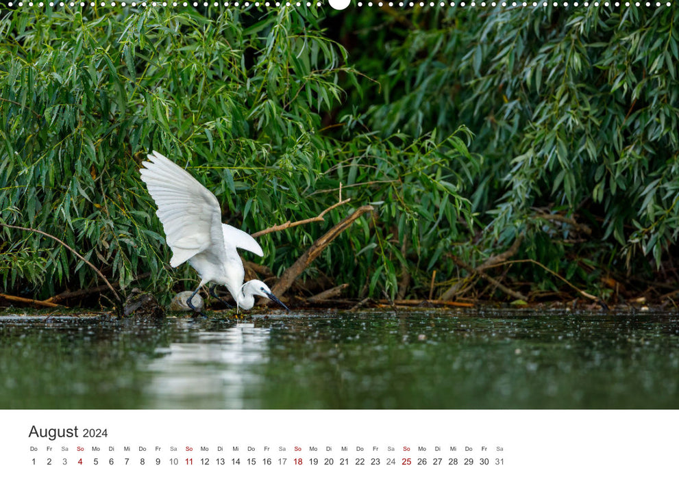 Natural paradise Danube Delta (CALVENDO wall calendar 2024) 