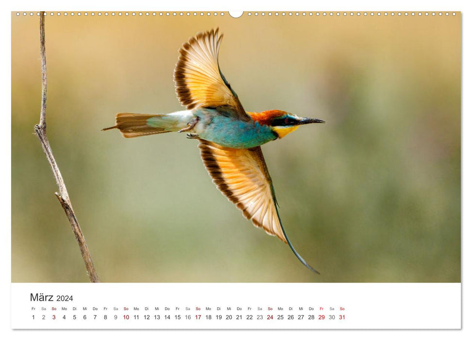 Naturparadies Donaudelta (CALVENDO Premium Wandkalender 2024)