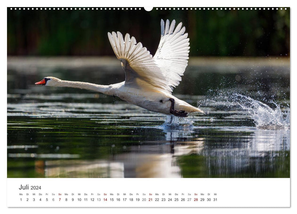 Naturparadies Donaudelta (CALVENDO Premium Wandkalender 2024)