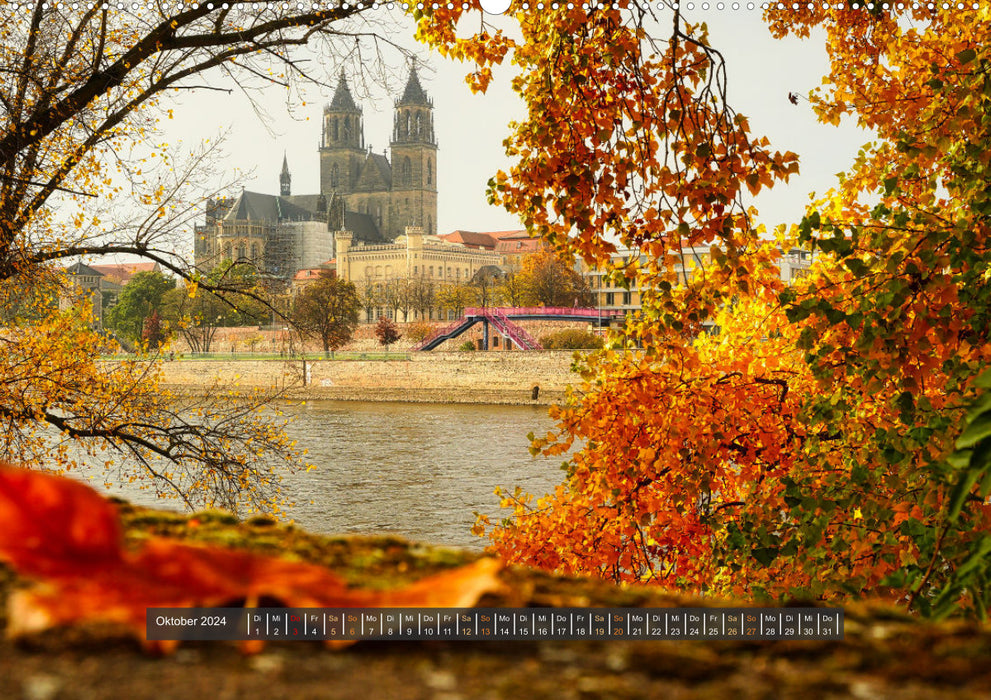 Magdeburg entdecken (CALVENDO Wandkalender 2024)