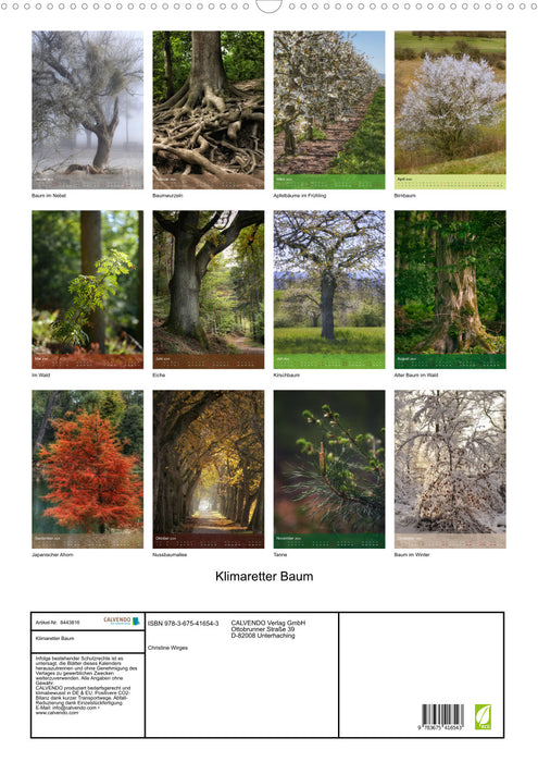 Climate saver tree (CALVENDO wall calendar 2024) 