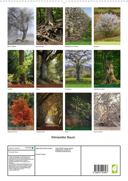 Climate saver tree (CALVENDO Premium wall calendar 2024) 
