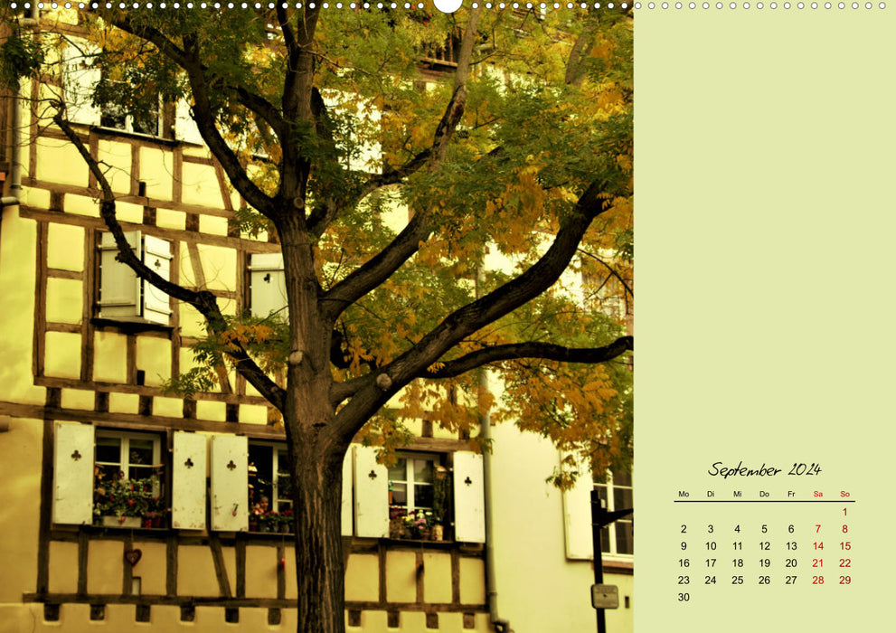 Fassadenrausch in Colmar (CALVENDO Premium Wandkalender 2024)