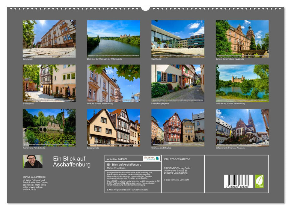 Un regard sur Aschaffenburg (Calendrier mural CALVENDO Premium 2024) 