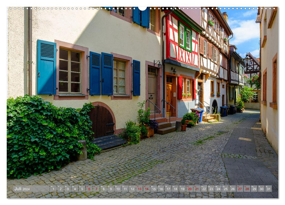 Un regard sur Aschaffenburg (Calendrier mural CALVENDO Premium 2024) 