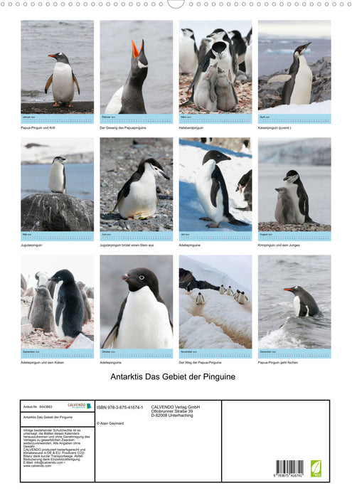 Antarctique - La zone des pingouins (Calendrier mural CALVENDO 2024) 