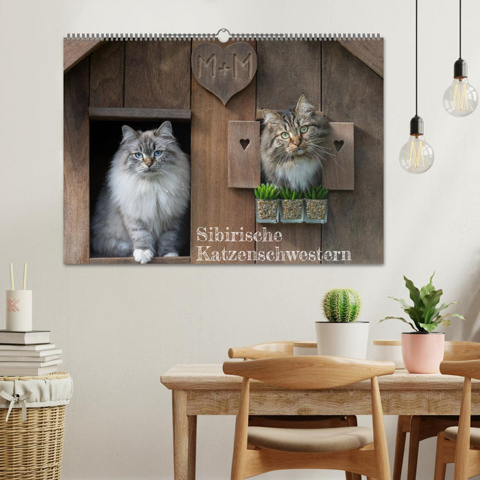 Maui und Molokai - Sibirische Katzenschwestern (CALVENDO Wandkalender 2024)